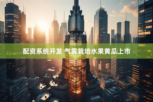 配资系统开发 气雾栽培水果黄瓜上市
